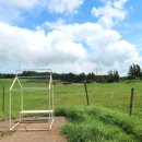 소유목장 이미지