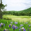 여주-0800 이미지