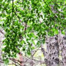 문수산산림욕장 이미지