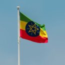 6.25참전 UN군 이미지