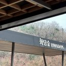 24년 4월 3일 다녀온 광주 &lt;화담숲&gt; 솔직 후기 | 4월 초 벚꽃 개화 상황 및 화담숲 꿀팁까지!🚊