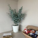 어나더 제주 이미지