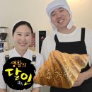 꼼아파리 이미지