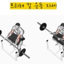 브이텐휘트니스 이미지