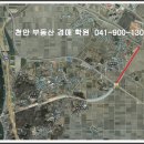 중로1-7호 Daum카페