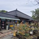 태백산정육점