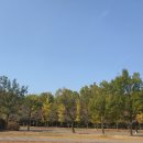 주은렌트카 이미지