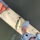 적봉리마을회관 이미지