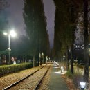 북부지하차도위1 | [경춘선숲길] 북부구간(과기대입구-광운대역앞)