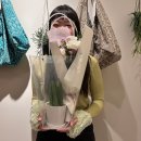 플로샤