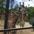 트랜디카구로점 이미지