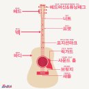 통기타 완전정복 이미지