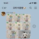 마이 펫 살롱 이미지