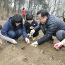 송촌생활체육공원(4) 이미지