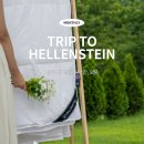 숲튜디오 이미지