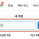 주식회사 마이리얼트립 이미지