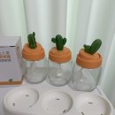 지니무역 | 집들이선물추천 양념통세트 하람무역 선인장 양념통