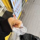 노동쉼터 | 강아지들한테 감정노동(p) 당하고 온 후기🐶 유기견 봉사(w. 연봉인상) | 𝟐𝟔.𝟎𝟑.𝟏𝟑