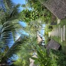 엘니도 리조트 | [여행] 필리핀, 팔라완 엘니도(El Nido) 부코비치 리조트 내돈내산 후기