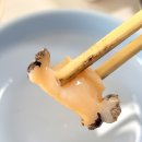 선일회수산 이미지