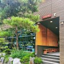 송림로(유성-17) 이미지