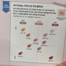 성수] 정샘물 팝업스토어 후기 | 무신사 | 프로래스팅 결핏 매쉬 쿠션 | 아티스트 쿠션 블러쉬 체험...