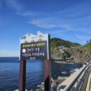 로또모텔 | [후포출발]울릉썬플라워크루즈 타고 울릉도 여행 후기