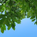 진리세탁 이미지