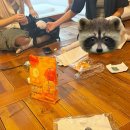 1박2일 전주우정여행 | 맛집 vs 애니 … 과연 뭘 더 많이 즐겼을까