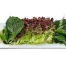 농산물 소개소 이미지