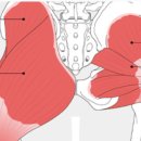 늘필라테스 이미지