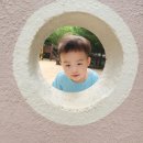 물고기꾸미기 3🐡수박공 배구 이미지