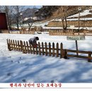 손자농장 이미지