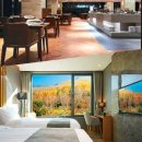 비바체레스토랑 이미지