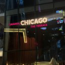강남역 피자 찐 맛집 추천 : ORIGINAL CHICAGO THE TERRACE (오리널 시카고 더 테라스)