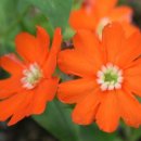 봉양농장 이미지