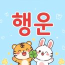 손끝에서 피어나는 선율, 우쿨렐레 | 타임랩스[209금떵이할배의 12가지 금빛 이야기: 무탈하게 홍복을 누리는 비결]