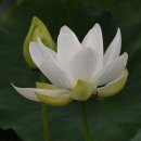 함주공원 이미지