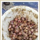 한이농장 이미지