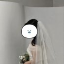 뜰에꽃화원 | [스튜디오 촬영] 온뜰에피움 화이트 곡선 배경 촬영 후기