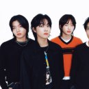 포니 이미지