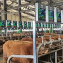 영주축산업협동조합 이미지