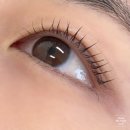 수원-1204 | 속쌍도 걱정할 필요 없는 수원 인계동 속눈썹펌 대만족 후기 | 인계동 멜루아
