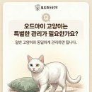 왜관동물병원 이미지
