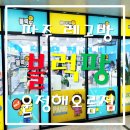 해오름 | 파주 레고방 블럭팡 운정해오름점 이용 후기