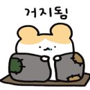 보문달팽이