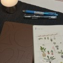 수원 금곡 호매실 네일 더예쁨 솔직 후기