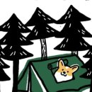 포레스트소울 이미지