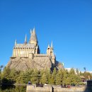 책과 함께 해리포터 마술학교 이미지