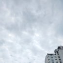 이마트24 동화6단지점
